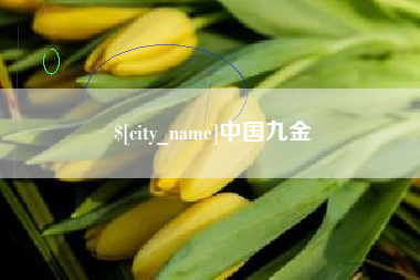 淮滨中国九金