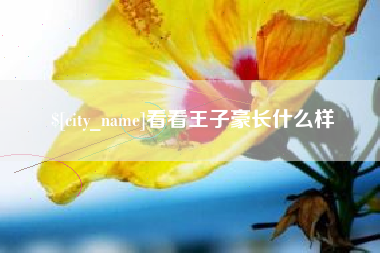 淮滨看看王子豪长什么样