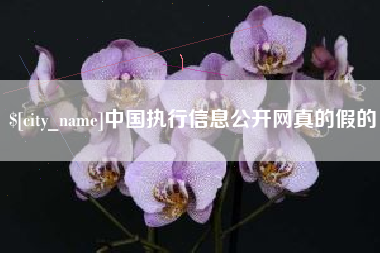 淮滨中国执行信息公开网真的假的