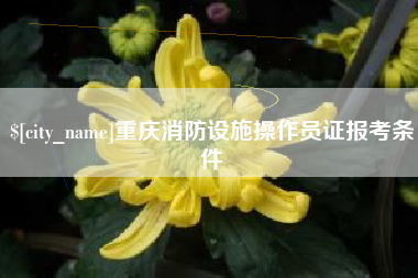 淮滨重庆消防设施操作员证报考条件