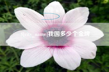 淮滨我国多少个金牌