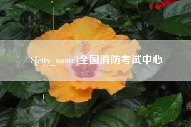 淮滨全国消防考试中心
