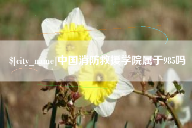 淮滨中国消防救援学院属于985吗