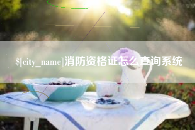 淮滨消防资格证怎么查询系统