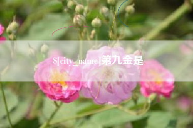 淮滨第九金是