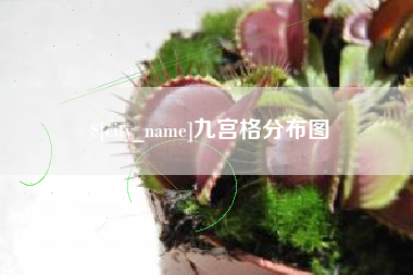淮滨九宫格分布图