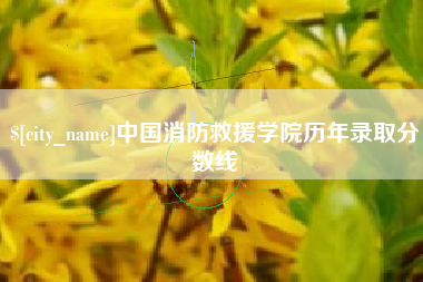 淮滨中国消防救援学院历年录取分数线