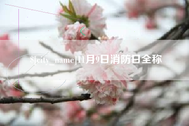 淮滨11月9日消防日全称