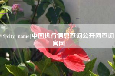 淮滨中国执行信息查询公开网查询官网