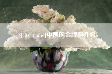 淮滨中国的金牌有几名