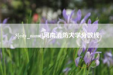 淮滨河南消防大学分数线