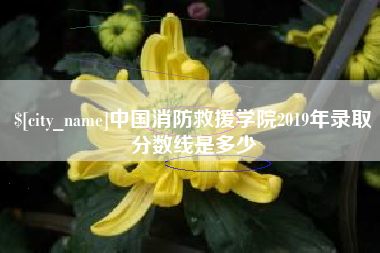 淮滨中国消防救援学院2019年录取分数线是多少