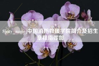 淮滨中国消防救援学院简介及招生章程指挥部
