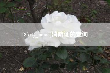 淮滨消防证的查询