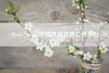 淮滨中国执行信息公开平台