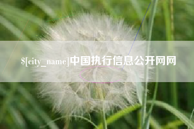 淮滨中国执行信息公开网网