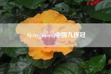 淮滨中国九连冠