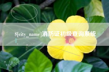 淮滨消防证初级查询系统