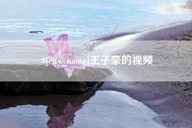 淮滨王子豪的视频