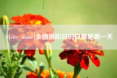 淮滨全国消防日的日期是哪一天