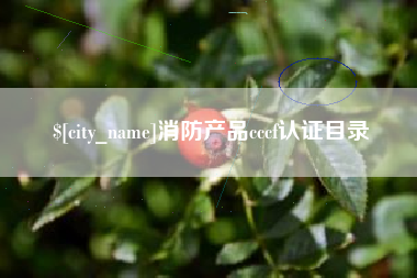 淮滨消防产品cccf认证目录