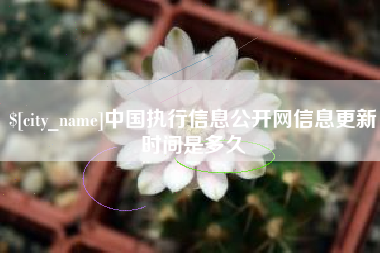淮滨中国执行信息公开网信息更新时间是多久