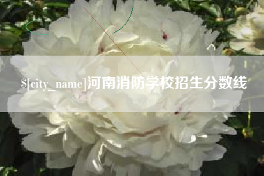 淮滨河南消防学校招生分数线