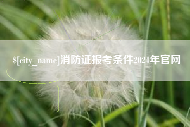 淮滨消防证报考条件2024年官网