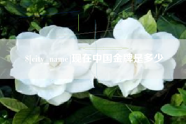 淮滨现在中国金牌是多少