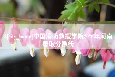 淮滨中国消防救援学院2020年河南录取分数线