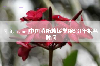 淮滨中国消防救援学院2021年报名时间