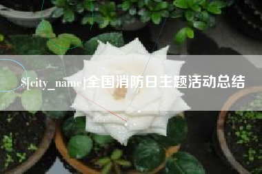 淮滨全国消防日主题活动总结