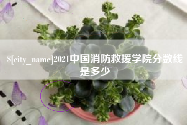 淮滨2021中国消防救援学院分数线是多少