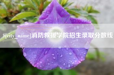 淮滨消防救援学院招生录取分数线