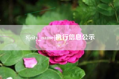淮滨执行信息公示