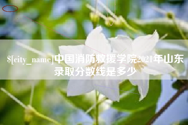 淮滨中国消防救援学院2021年山东录取分数线是多少