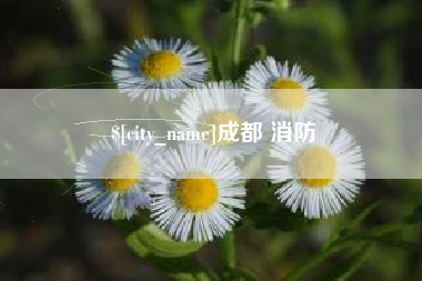 淮滨成都 消防