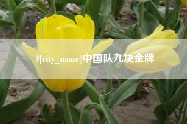 淮滨中国队九块金牌