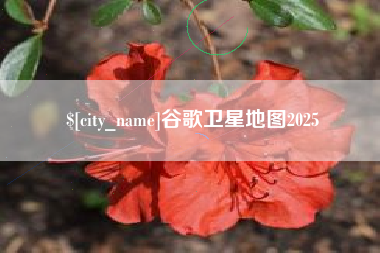 淮滨谷歌卫星地图2025