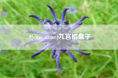 淮滨九宫格盘子