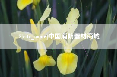 淮滨中国消防器材商城