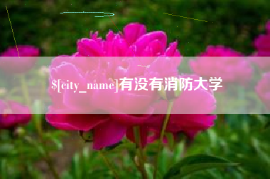 淮滨有没有消防大学
