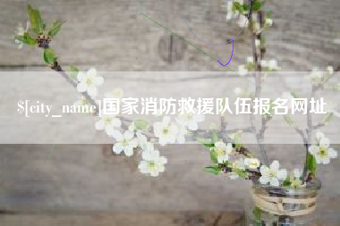 淮滨国家消防救援队伍报名网址