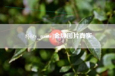 淮滨金牌图片真实