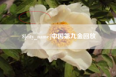 淮滨中国第九金回放