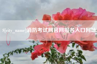 淮滨消防考试网官网报名入口网址