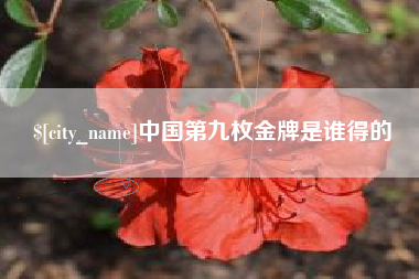 淮滨中国第九枚金牌是谁得的