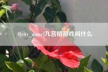 淮滨九宫格游戏叫什么