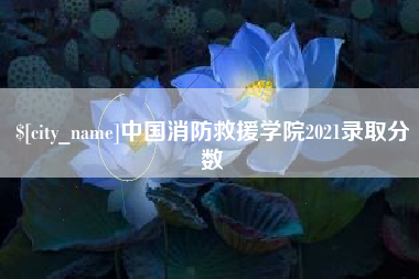 淮滨中国消防救援学院2021录取分数