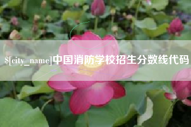淮滨中国消防学校招生分数线代码